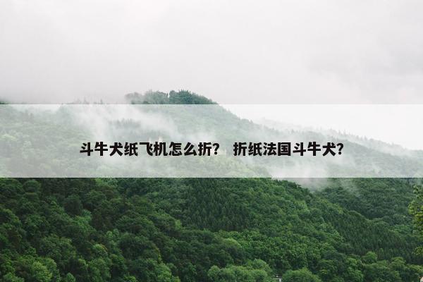斗牛犬纸飞机怎么折？ 折纸法国斗牛犬？