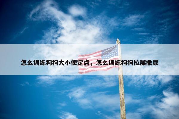 怎么训练狗狗大小便定点，怎么训练狗狗拉屎撒尿