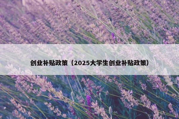 创业补贴政策（2025大学生创业补贴政策）