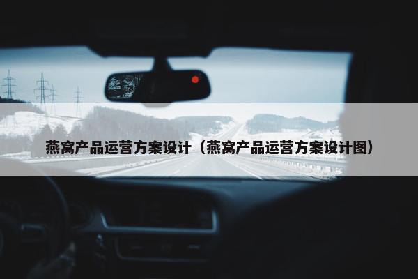 燕窝产品运营方案设计（燕窝产品运营方案设计图）