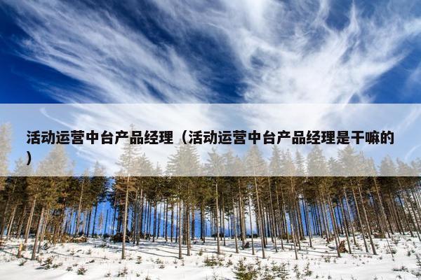 活动运营中台产品经理（活动运营中台产品经理是干嘛的）