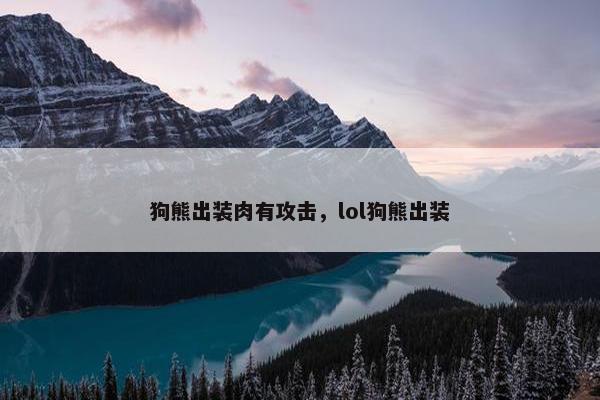 狗熊出装肉有攻击，lol狗熊出装