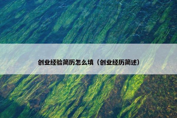 创业经验简历怎么填（创业经历简述）