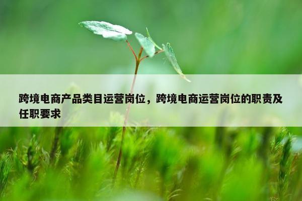 跨境电商产品类目运营岗位，跨境电商运营岗位的职责及任职要求