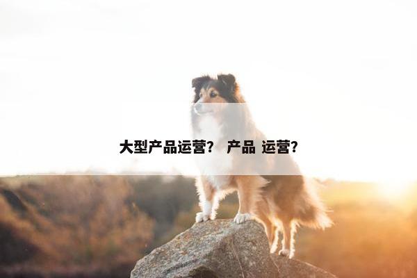 大型产品运营？ 产品 运营？