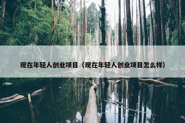 现在年轻人创业项目（现在年轻人创业项目怎么样）