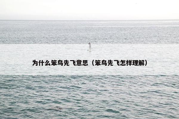 为什么笨鸟先飞意思（笨鸟先飞怎样理解）