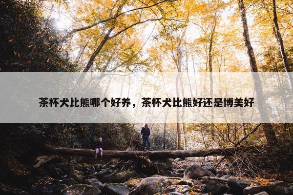 茶杯犬比熊哪个好养，茶杯犬比熊好还是博美好