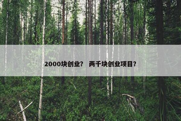 2000块创业？ 两千块创业项目？