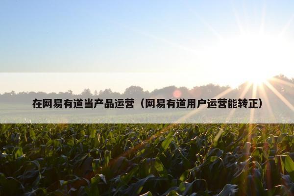 在网易有道当产品运营（网易有道用户运营能转正）