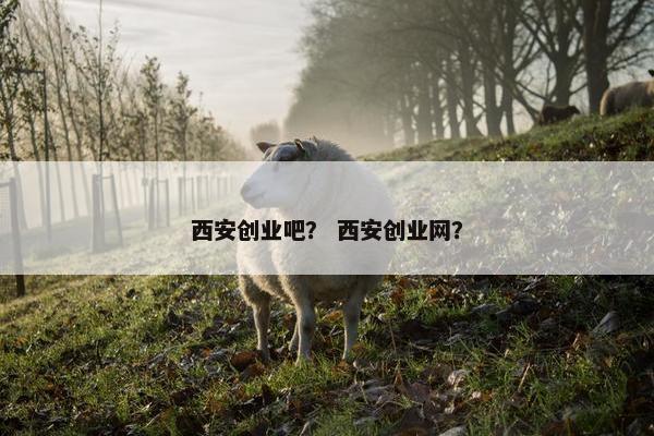 西安创业吧？ 西安创业网？