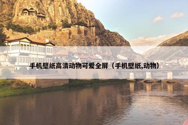 手机壁纸高清动物可爱全屏（手机壁纸,动物）