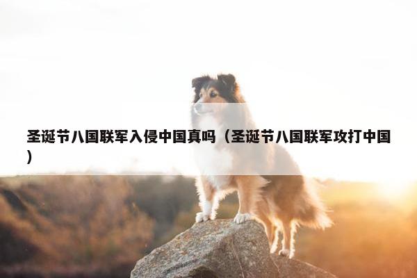 圣诞节八国联军入侵中国真吗（圣诞节八国联军攻打中国）