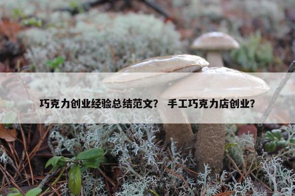 巧克力创业经验总结范文？ 手工巧克力店创业？