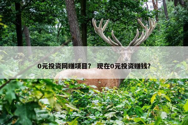 0元投资网赚项目？ 现在0元投资赚钱？