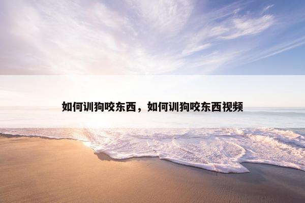如何训狗咬东西，如何训狗咬东西视频
