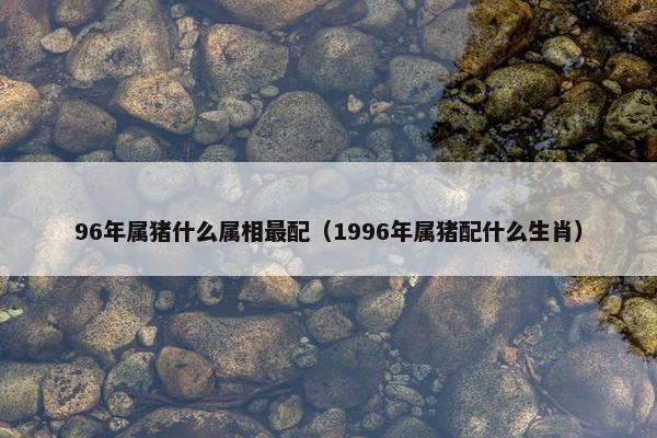 96年属猪什么属相最配（1996年属猪配什么生肖）
