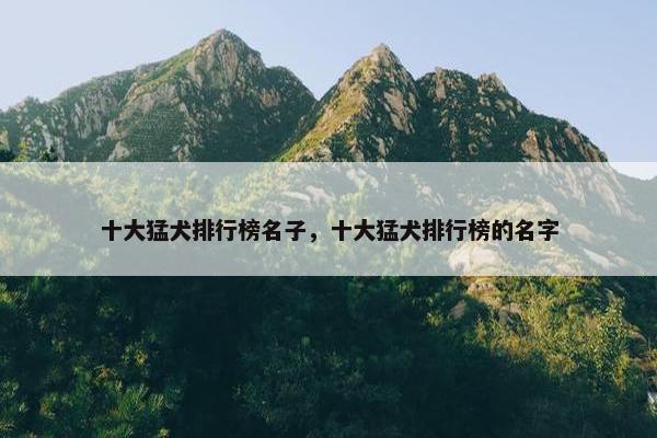 十大猛犬排行榜名子，十大猛犬排行榜的名字