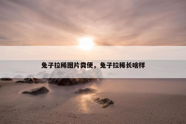兔子拉稀图片粪便，兔子拉稀长啥样