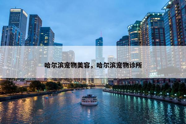 哈尔滨宠物美容，哈尔滨宠物诊所