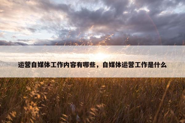 运营自媒体工作内容有哪些，自媒体运营工作是什么