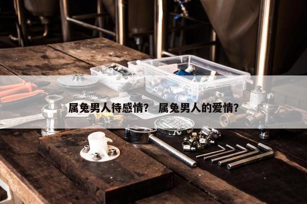 属兔男人待感情？ 属兔男人的爱情？