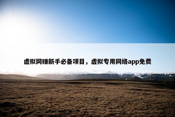 虚拟网赚新手必备项目，虚拟专用网络app免费