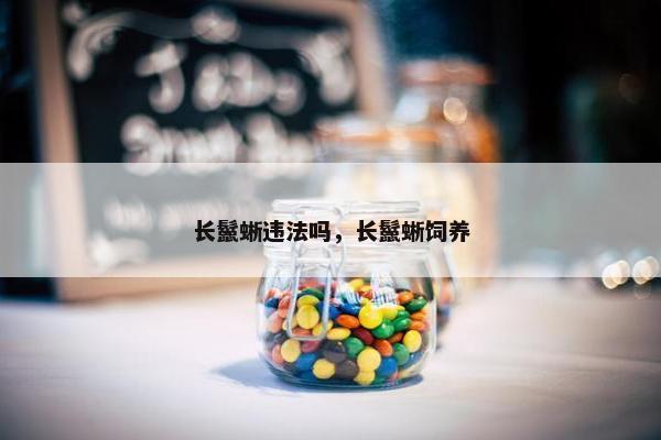 长鬣蜥违法吗，长鬣蜥饲养