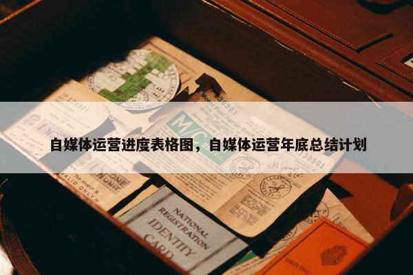 自媒体运营进度表格图，自媒体运营年底总结计划