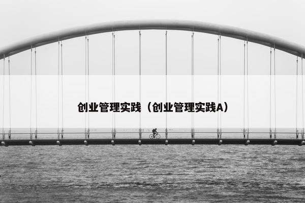 创业管理实践（创业管理实践A）