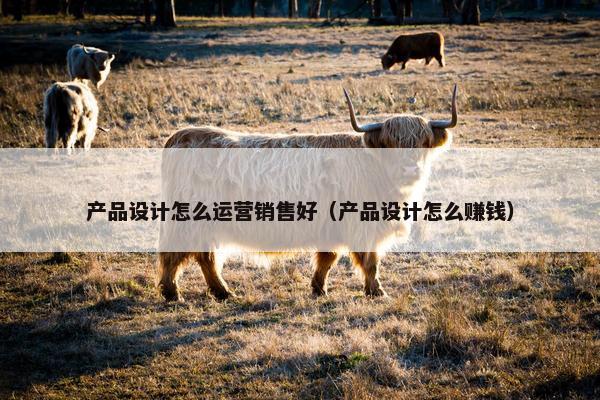 产品设计怎么运营销售好（产品设计怎么赚钱）