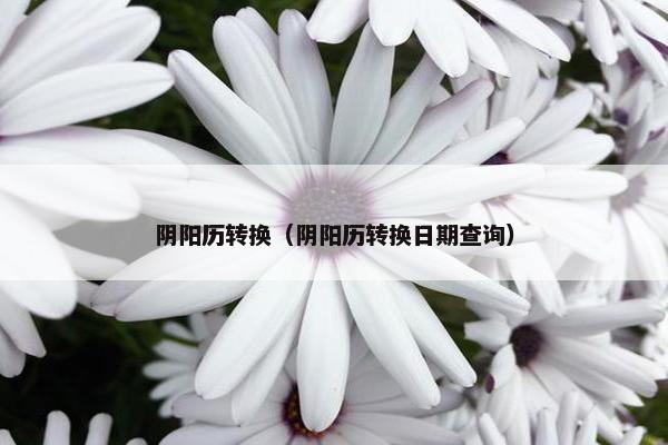 阴阳历转换（阴阳历转换日期查询）