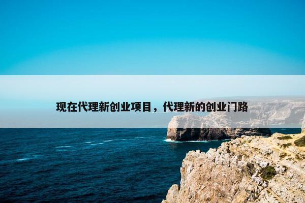现在代理新创业项目，代理新的创业门路
