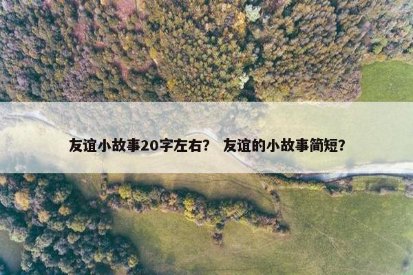友谊小故事20字左右？ 友谊的小故事简短？