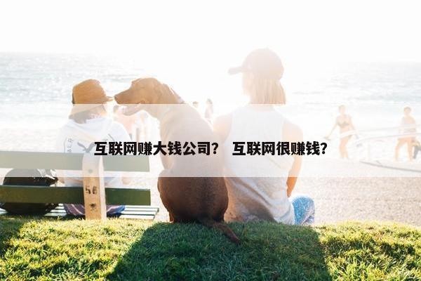 互联网赚大钱公司？ 互联网很赚钱？