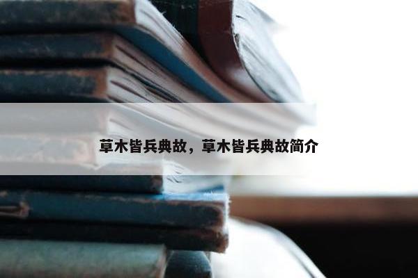 草木皆兵典故，草木皆兵典故简介