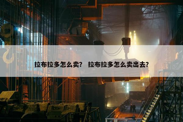 拉布拉多怎么卖？ 拉布拉多怎么卖出去？
