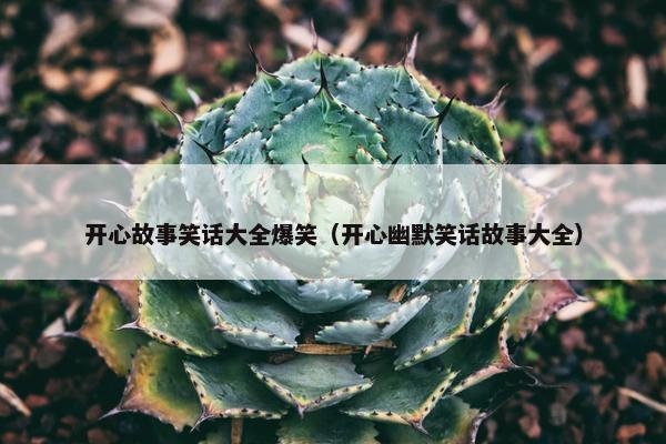 开心故事笑话大全爆笑（开心幽默笑话故事大全）