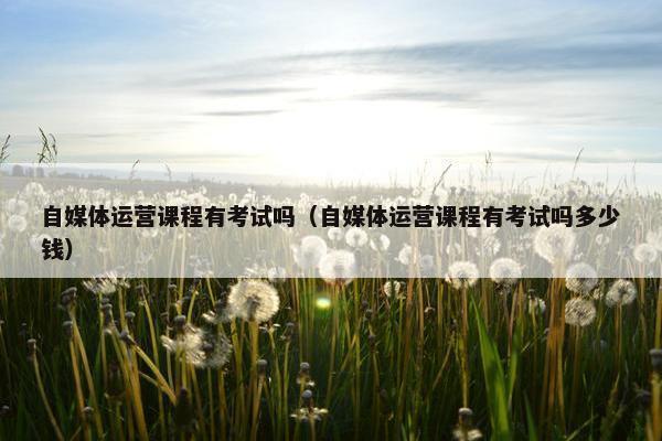 自媒体运营课程有考试吗（自媒体运营课程有考试吗多少钱）