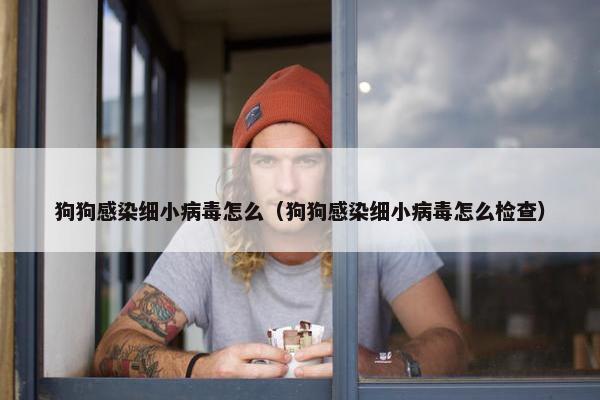 狗狗感染细小病毒怎么（狗狗感染细小病毒怎么检查）