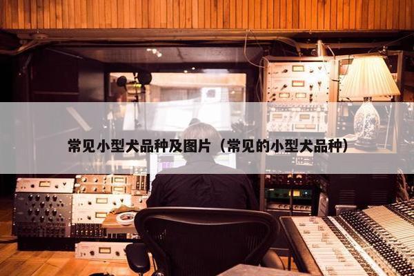 常见小型犬品种及图片（常见的小型犬品种）