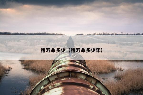 猪寿命多少（猪寿命多少年）