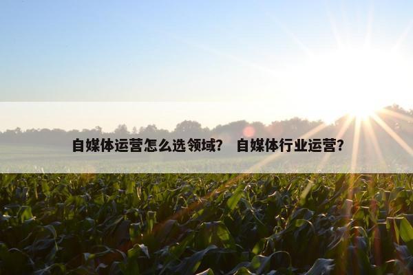 自媒体运营怎么选领域？ 自媒体行业运营？