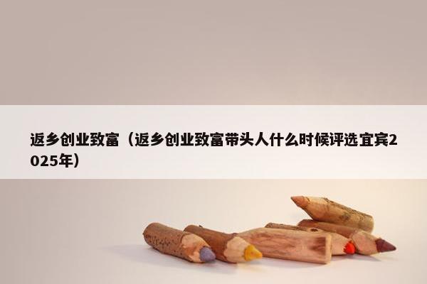 返乡创业致富（返乡创业致富带头人什么时候评选宜宾2025年）