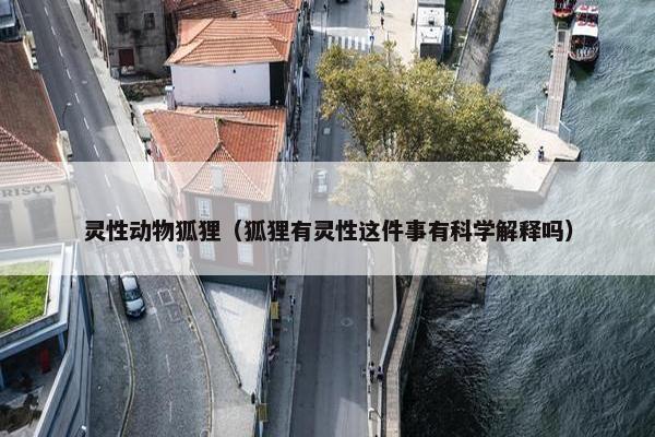 灵性动物狐狸（狐狸有灵性这件事有科学解释吗）