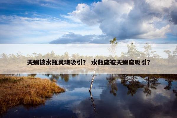 天蝎被水瓶灵魂吸引？ 水瓶座被天蝎座吸引？