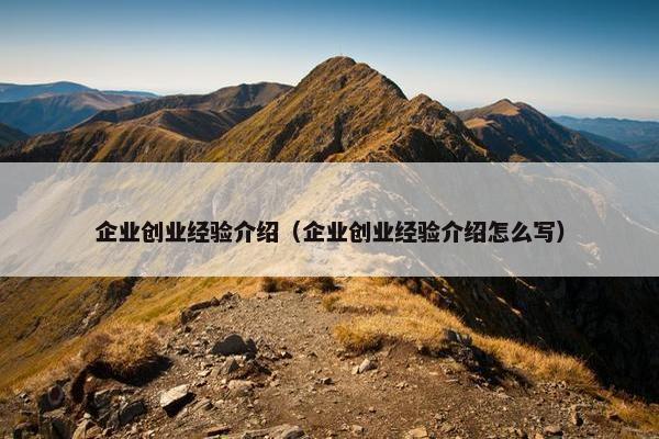 企业创业经验介绍（企业创业经验介绍怎么写）