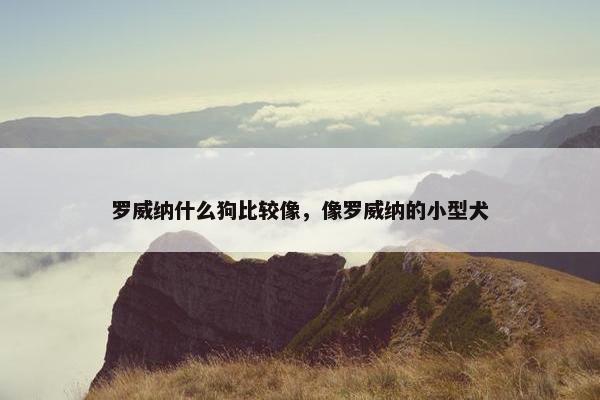 罗威纳什么狗比较像，像罗威纳的小型犬