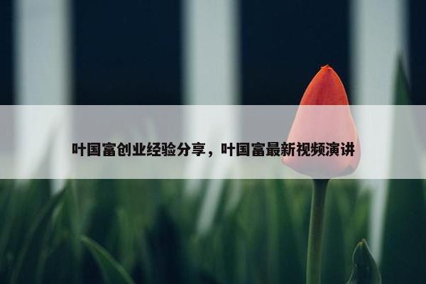 叶国富创业经验分享，叶国富最新视频演讲