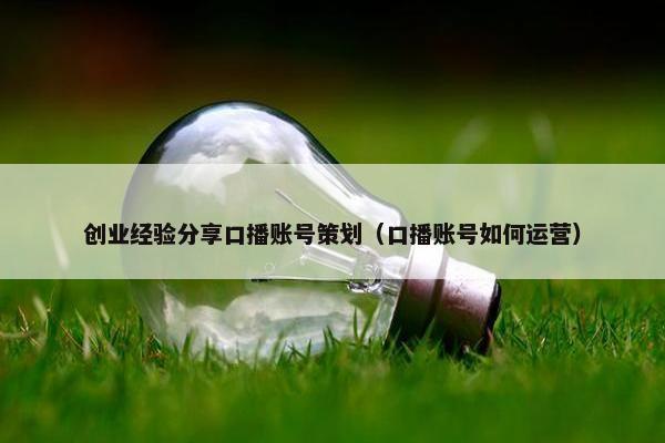 创业经验分享口播账号策划（口播账号如何运营）